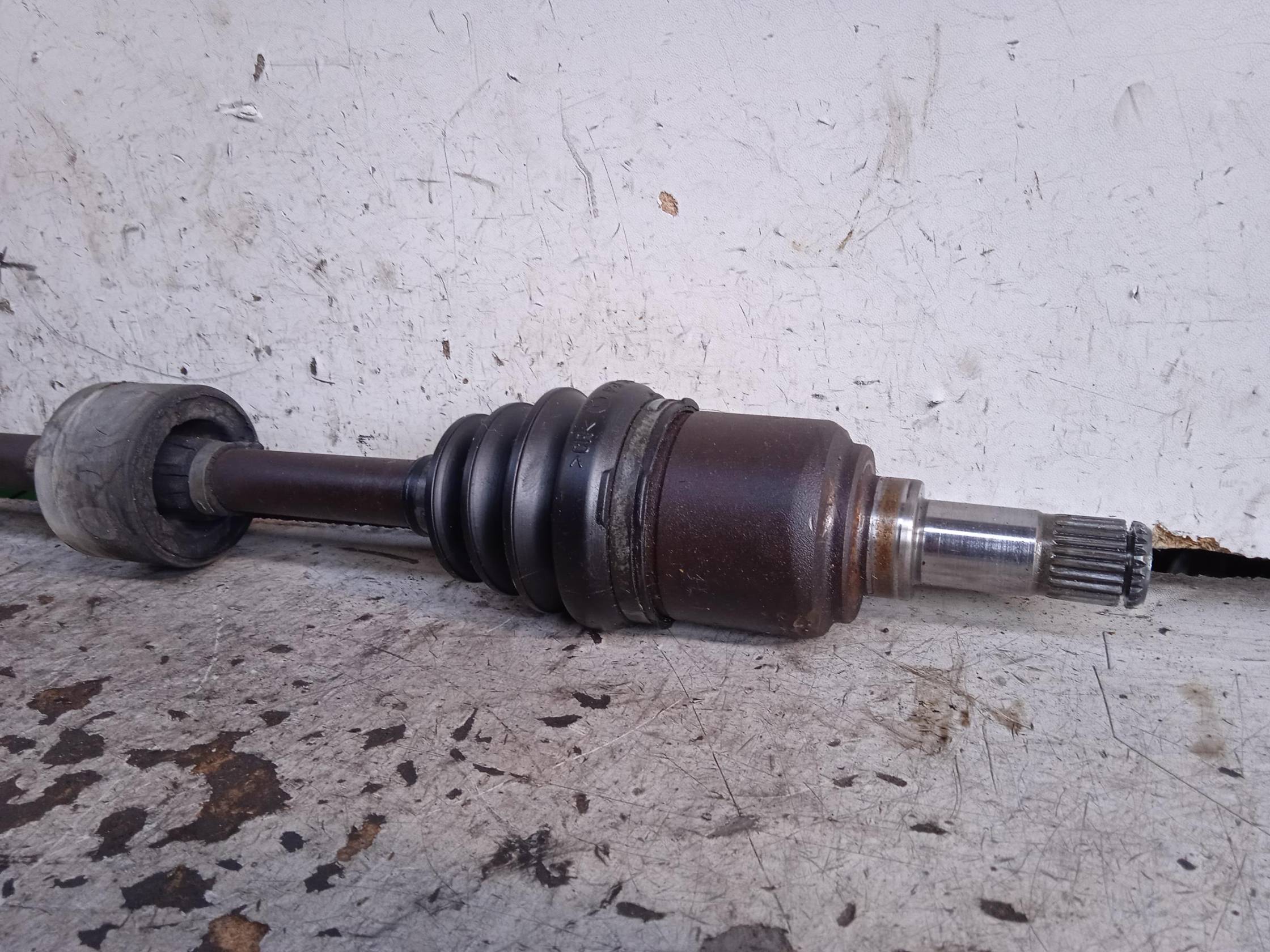 Semialbero ant. compl. dx.